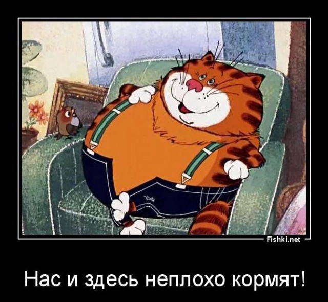 Минусы жизни в небоскребах Москва-Сити