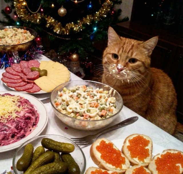 С праздником, коллеги.