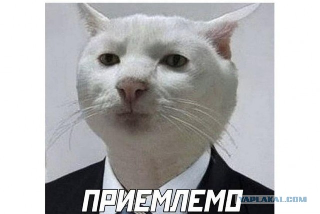 Селянство