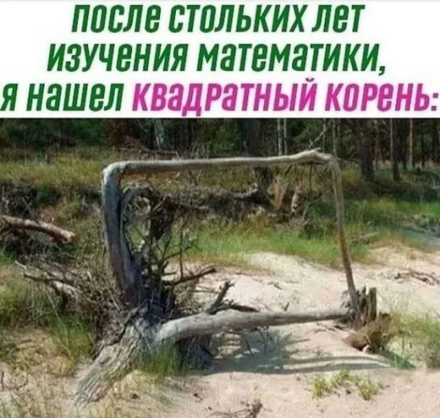 Картинки для деградации 164 (разной степени свежести)