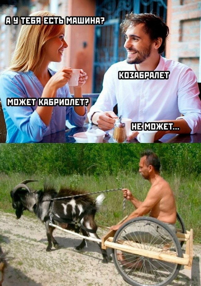 Веселые картинки в маленькую пятницу (27.05)