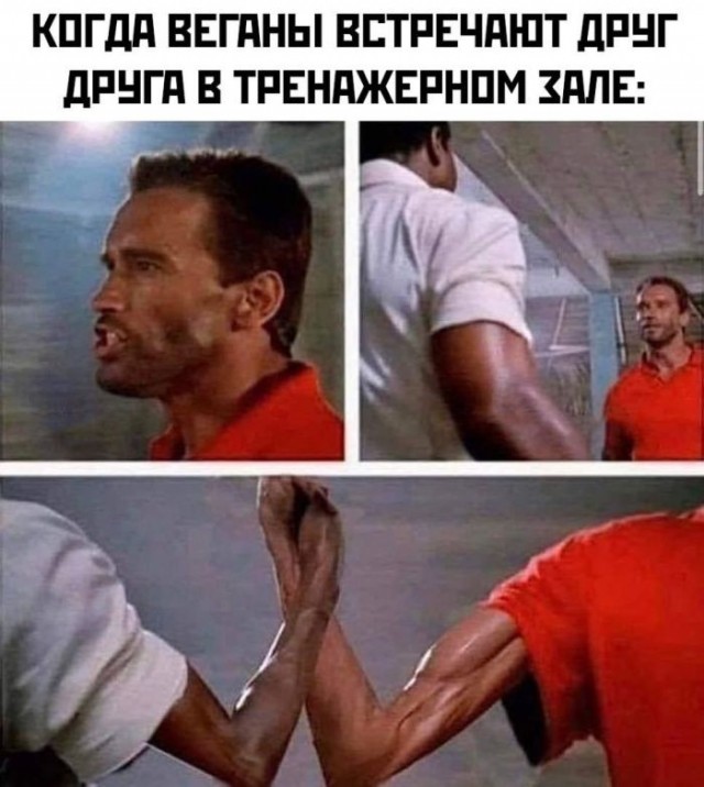 Так себе картинки 21.06.26
