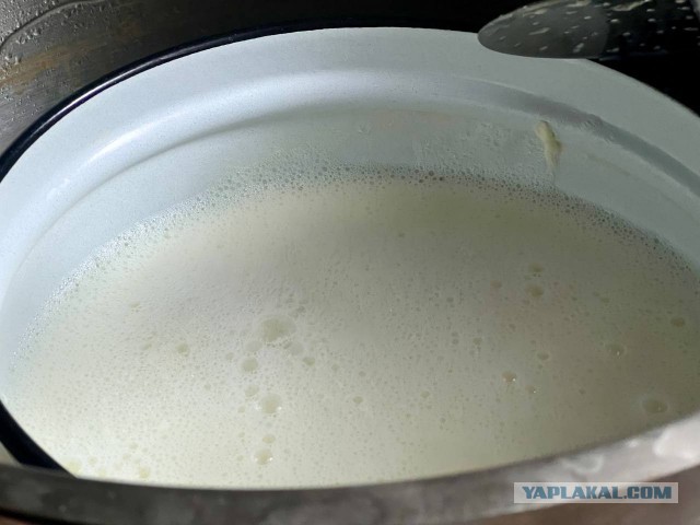 Адыгейский сыр (без сыворотки)