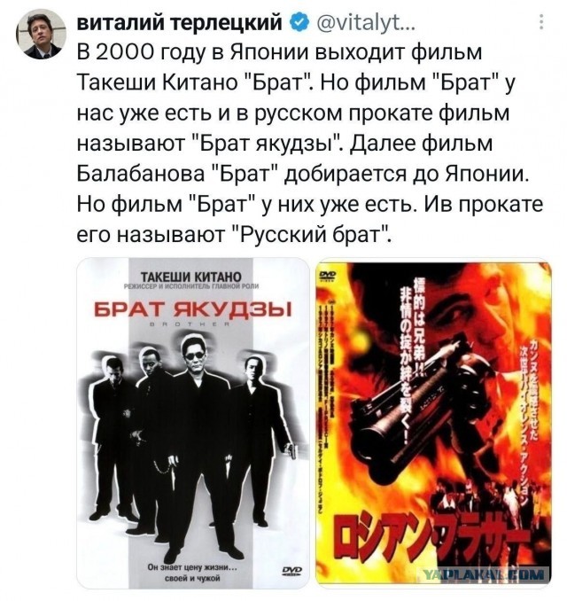 Потная гамсахурдия №8 (Картинки)
