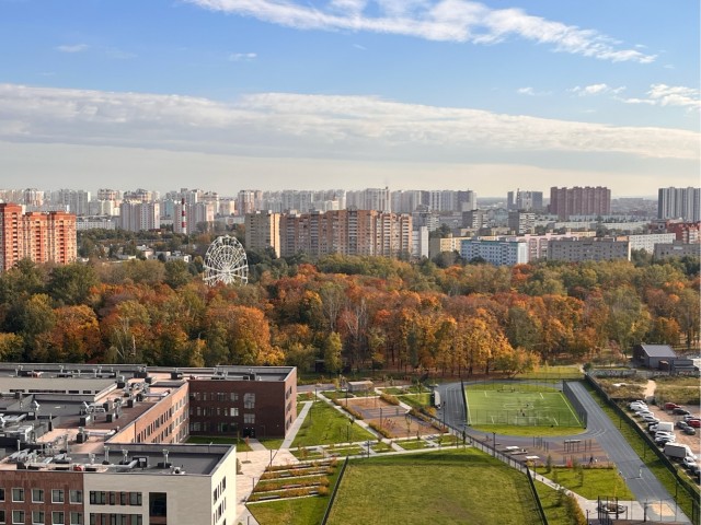 Все краски осени
