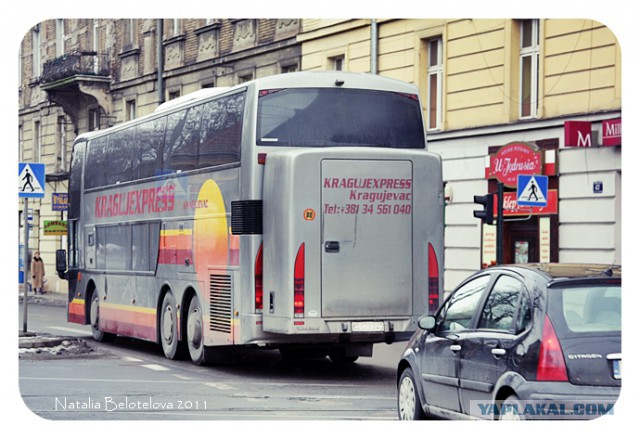 Польский и украинский автобусы столкнулись...