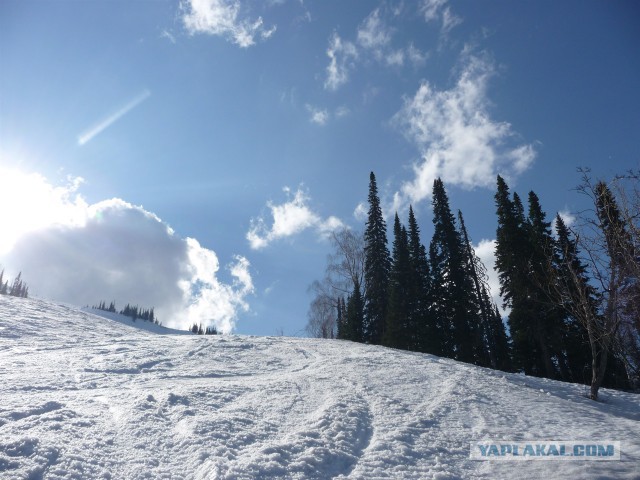 Почему сибирские горнолыжники не едут в Альпы