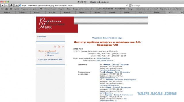 Мифы нашего времени: ГМО