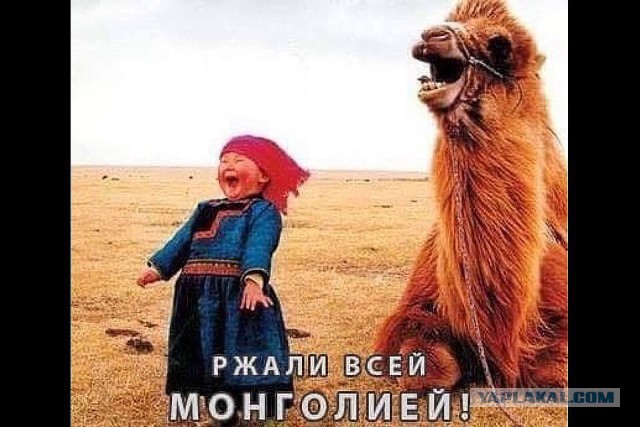 Ржали всей Монголией!