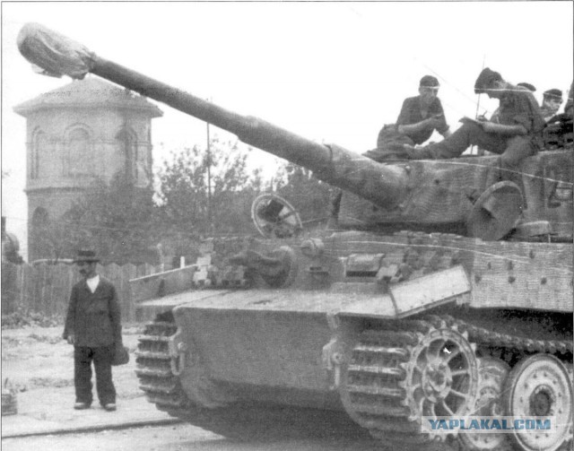 Дорога на Тарнополь