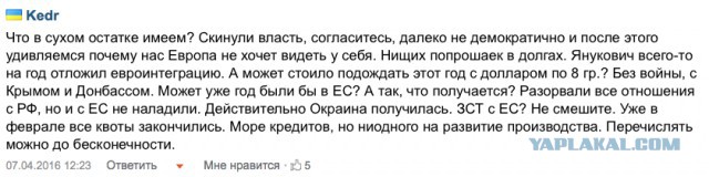 СМИ: 64% голландцев высказались против ассоциации Украины с ЕС
