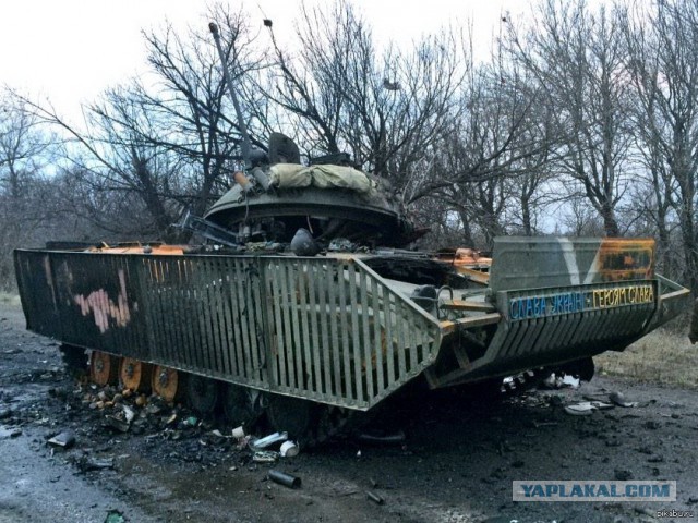 Защитная решётка не помогла