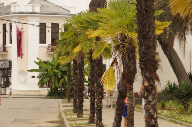 В Абхазию на машине...