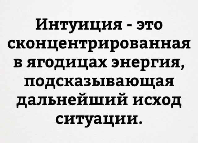 Б — безопасность. Стадион Фишт.