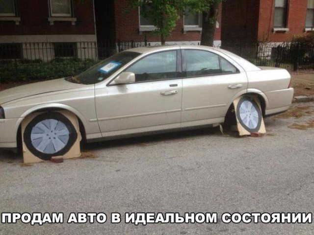 Прикольные картинки 22.06.2017.