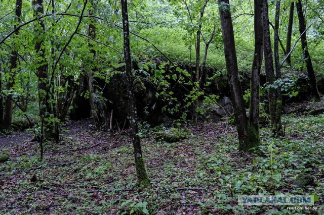 «Волчье логово»: как в лесной глуши появилась главная ставка Гитлера