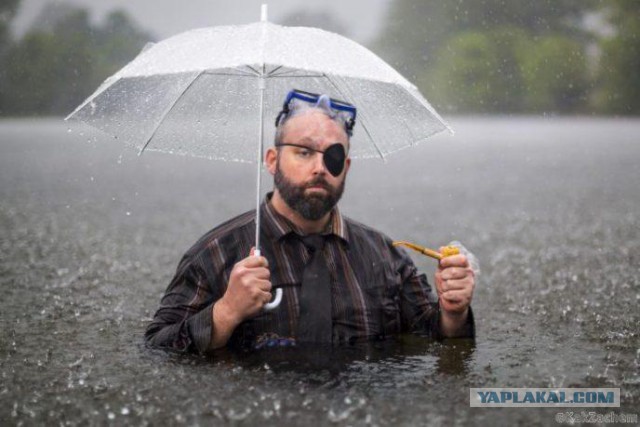 Мужчина сделал это фото во время наводнения. На следующее утро он проснулся знаменитостью