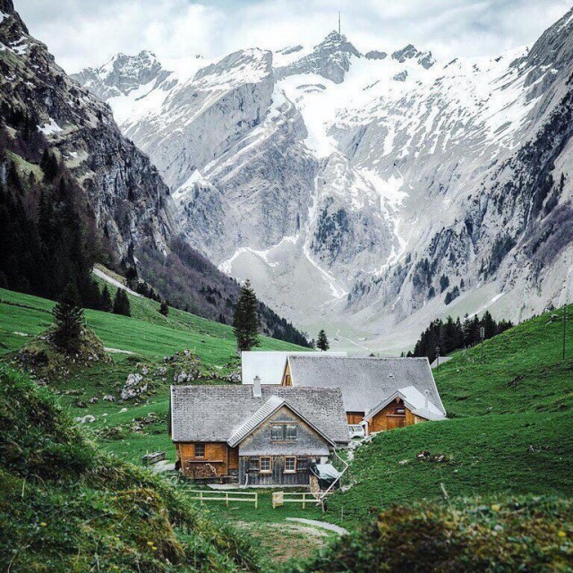 Картинок всяких