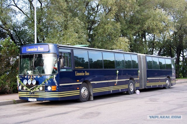 Диско-автобус