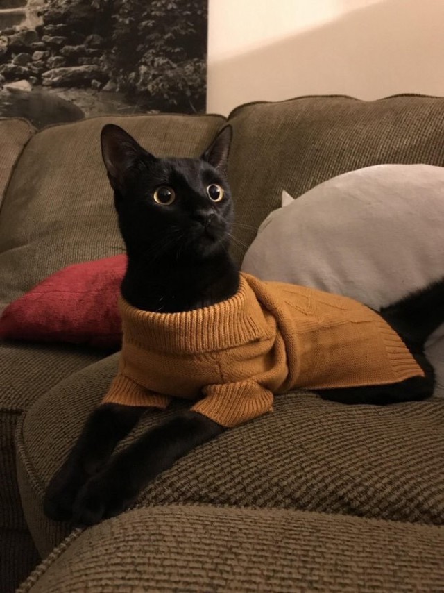 Немного милоты