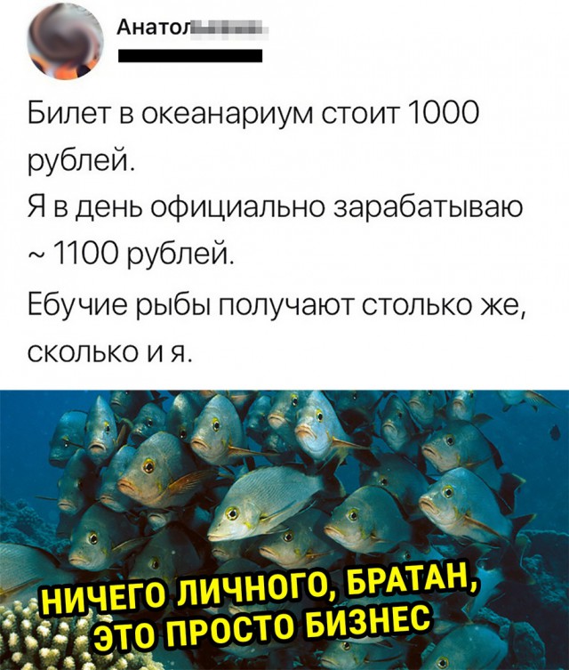 Немного картинок на вечер