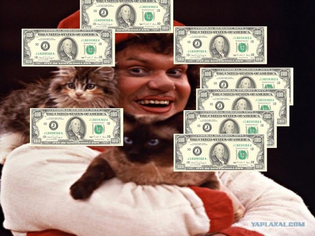 Состоятельный котовторник
