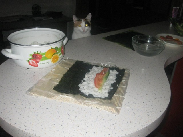 КОТОВТОРНИК (6.03.2012)