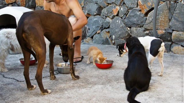 Один мой день. Самый первый!