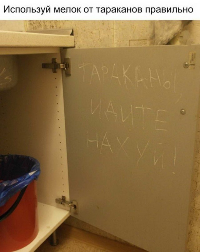Прикольные и просто красивые картинки 05.08.2019