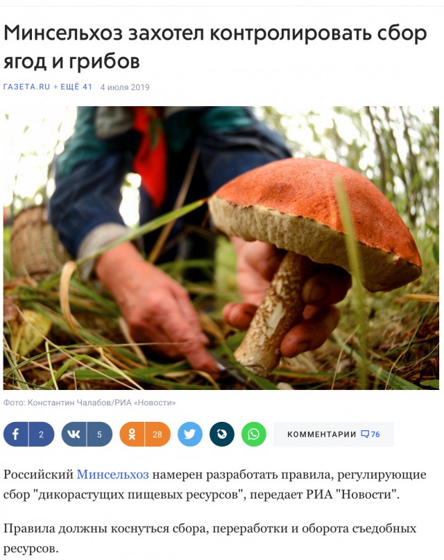 Два пенсионера собрали 19 кг грибов и их оштрафовали