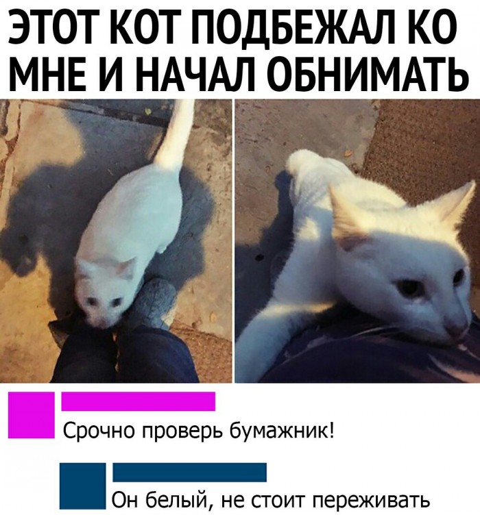 Подборка интересных и веселых картинок 15.09.19