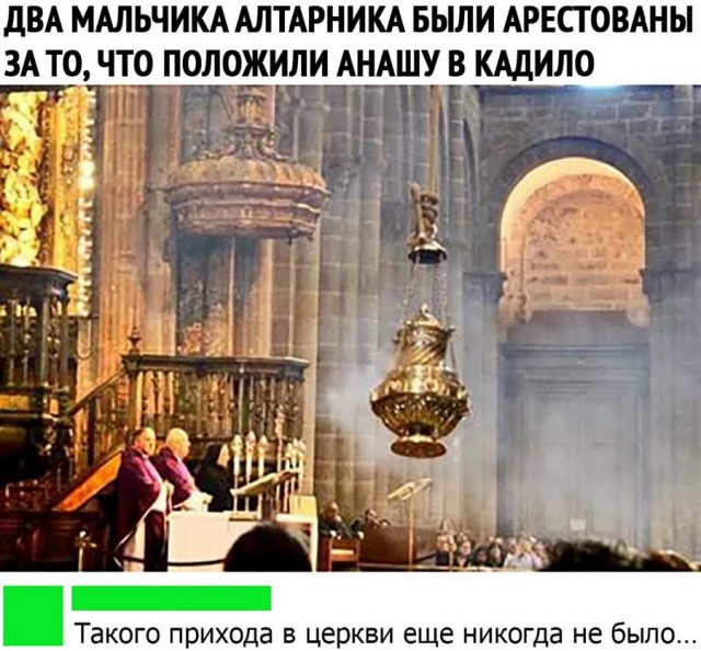 Пикчерз (Картинкас) Лучшая самка и парк весёлых приключений!
