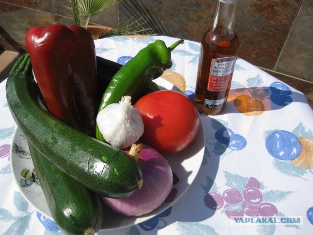 Треска с попугаями