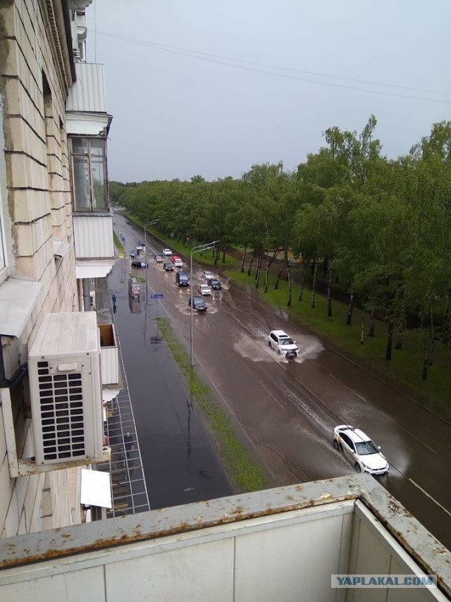 Расписание прогулок