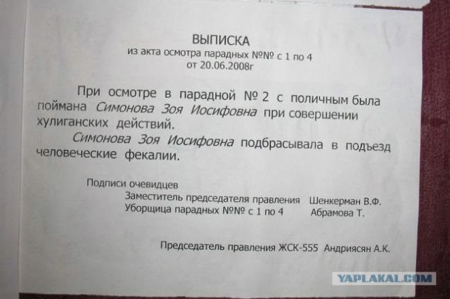 Злая Зоя