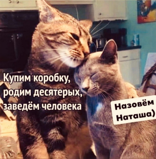 Наташа, вставай!
