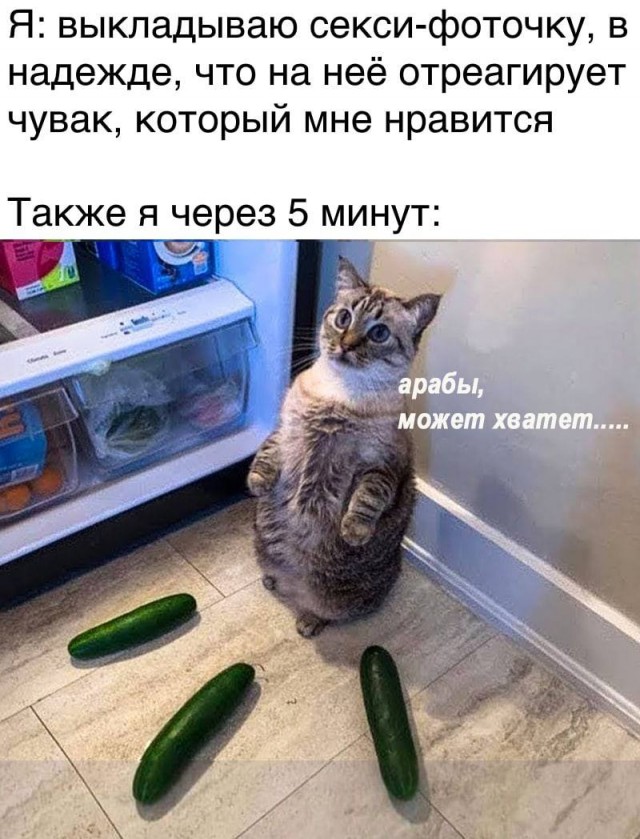 Бредзона 27.01.21