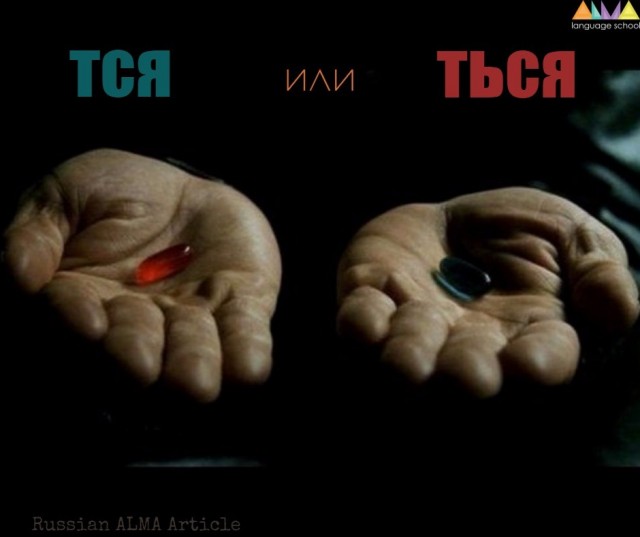 «Возможно твой кругозор расшириТЬся». Во Владимирской области чиновница посоветовала депутату «взять и прочитать закон»