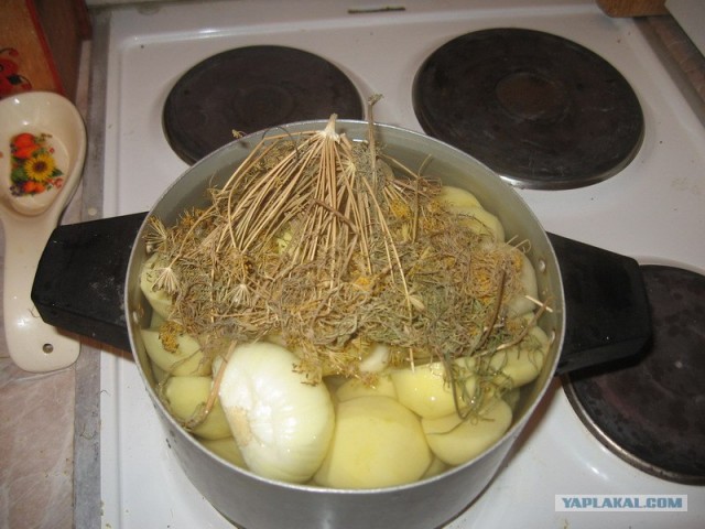 Картошечка