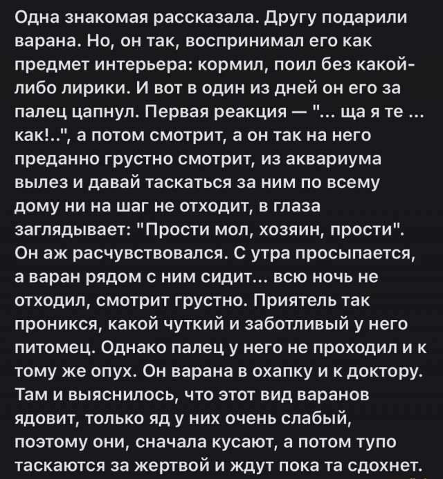 35 картинок разных 16.07.2021