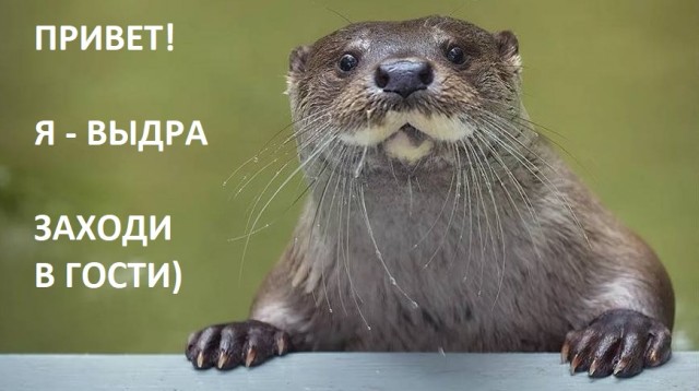 Как Роскомнадзор и "Газпром медиа" годами не может закрыть один маленький сайт