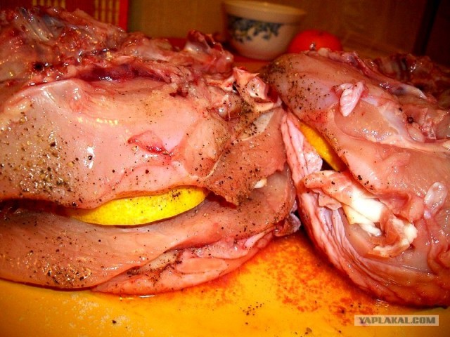 International одной книги., В память о Дженибеке.