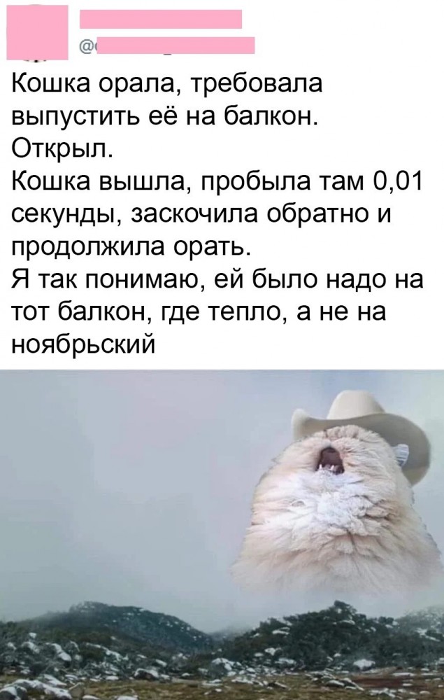 Баяны бабыЯны