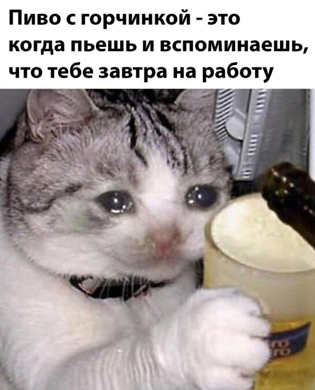 Весёлый полтишок 01.02