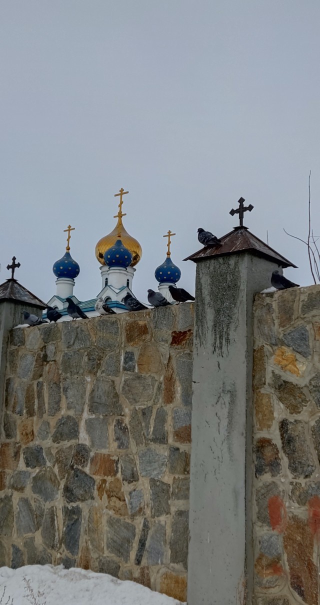 Фотки с телефона.