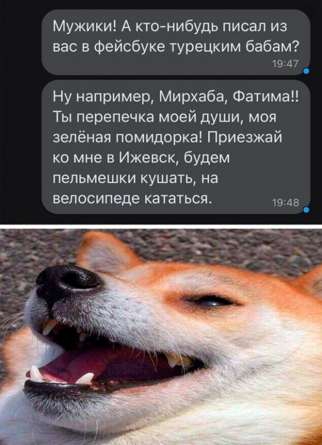 Так себе картинки 18.06.22