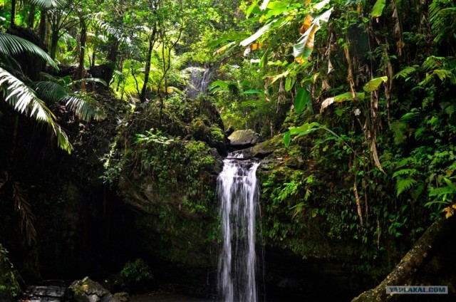 Путешествие по Северной Америке