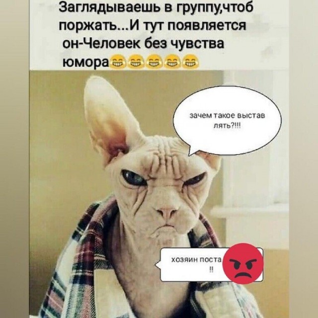 Юмор в картинках и без