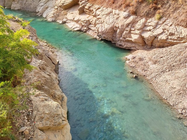 На Алтае, на лошадях и в ужасе⁠⁠