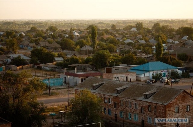 Вот в чем вся соль!